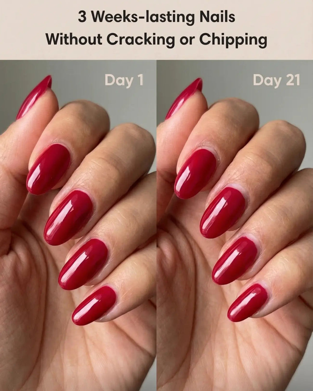 Lente Polygel Starterset | 3+3 Gratis Kleuren